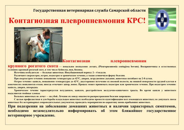 Памятки по болезням животных