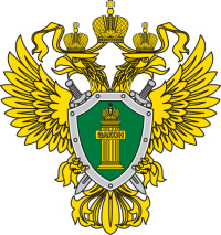 О вопросах противодействия преступности в сфере использования информационно-коммуникационных технологий